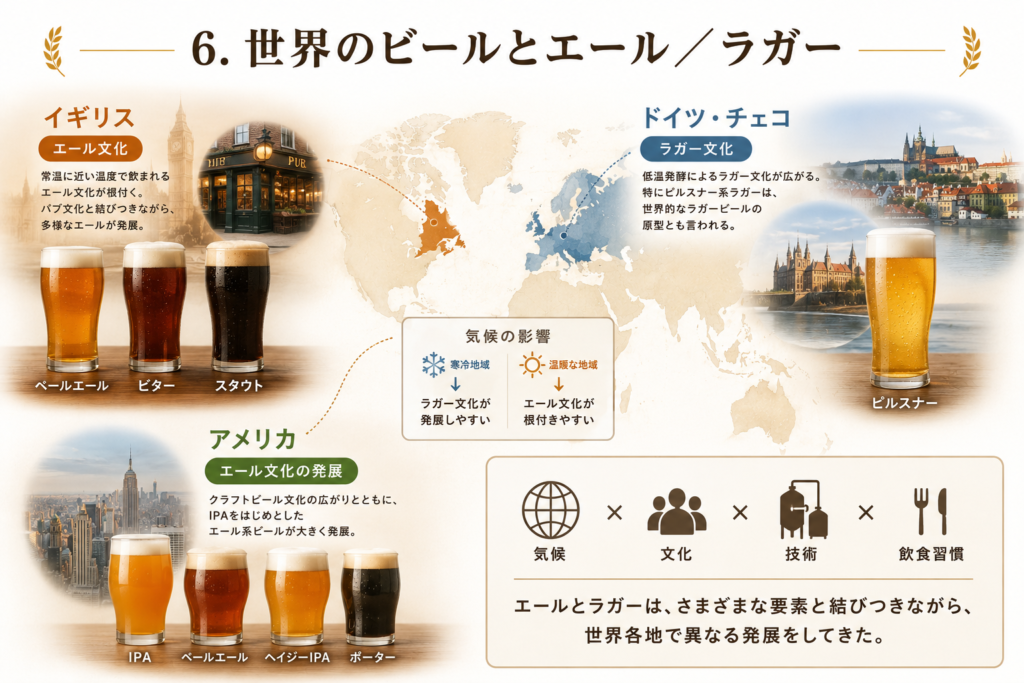 世界のビールのエール、ラガーを解説した画像