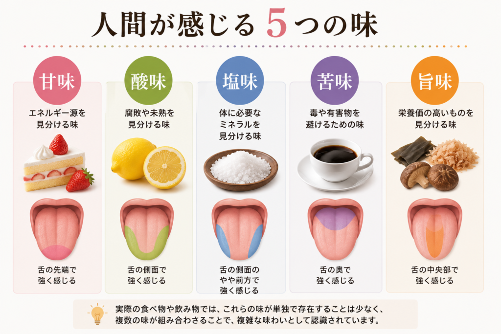 人間が感じる5つの味を解説した画像