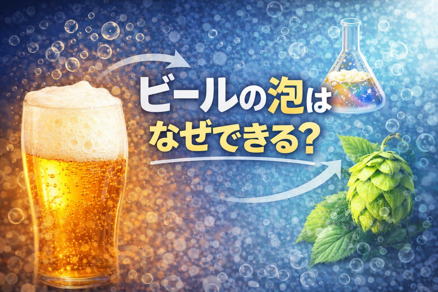 ビールの泡はなぜできる？苦味との関係・炭酸との仕組みを解説【B-11-5】