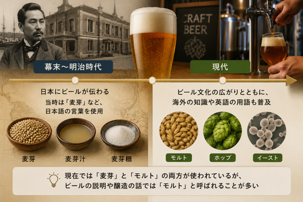 ビール用語の使われ方