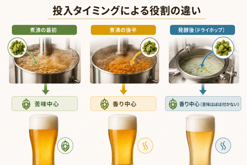 ホップの投入タイミングとビールの味わいのイメージ図