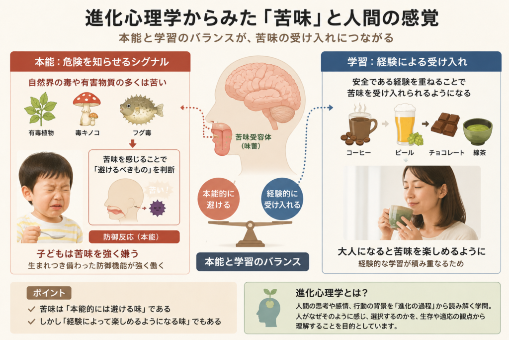 進化心理学からみた苦味と人間の感覚を表した図